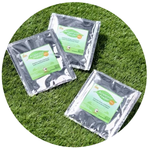 Green Cone Accelerator Powder [Pack of 3]