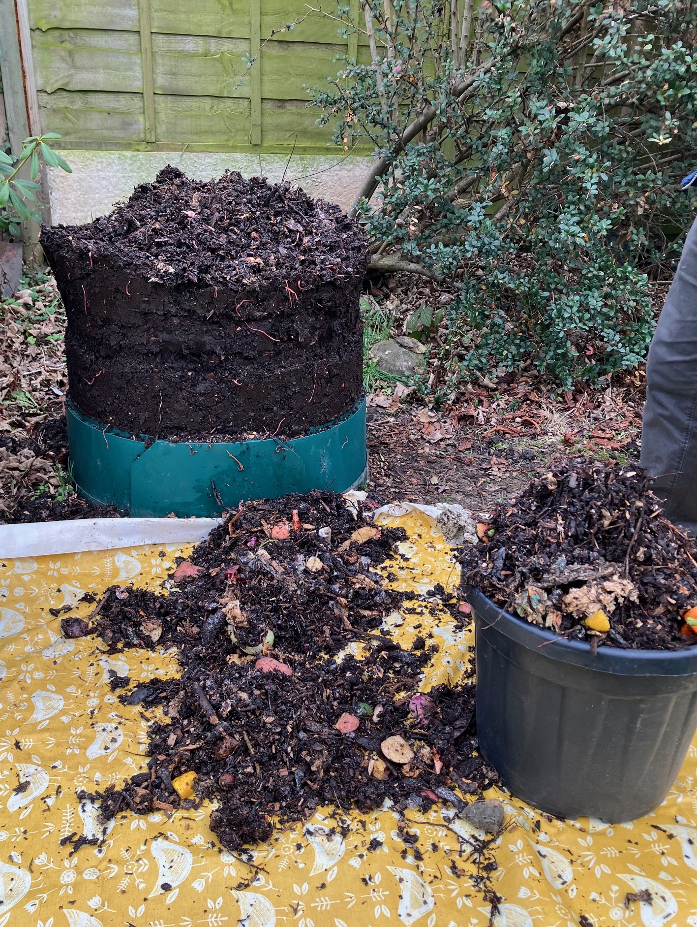 Composting indoors: the Bokashi method – Replenish